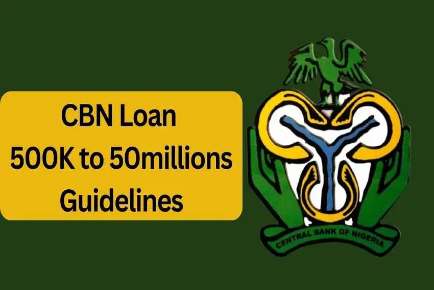 How To Apply For CBN Loan & Grant For Entrepreneurs To Invest in their Businesses and Real Estate